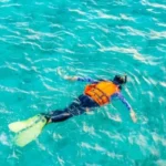 7 actividades turísticas en San Carlos, Sonora para disfrutar el verano